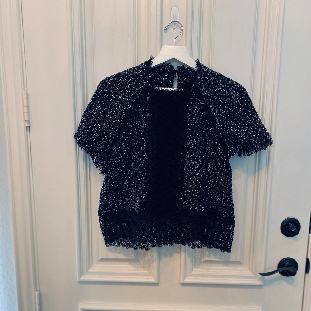 Zara Knit and Lace Cropped Top